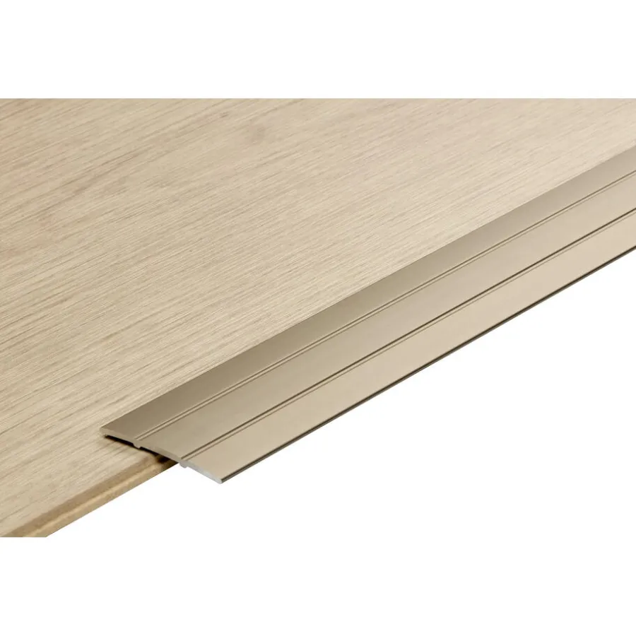 Kwantum Plinten*Dilatatieprofiel Staal Rvs 100 Cm