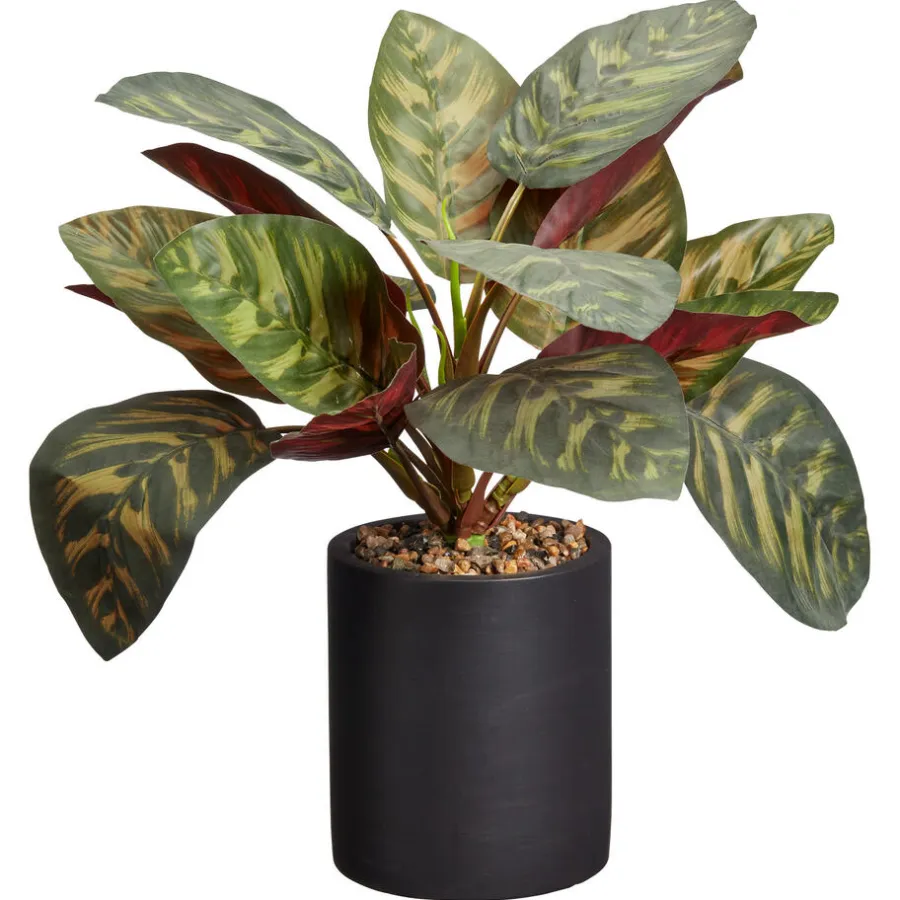 Kwantum Kunstplanten & Kunstbloemen*Kunstplant Calathea Groen