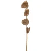 Kwantum Kunstplanten & Kunstbloemen*Kunsttak Capiz Taupe
