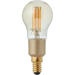 Kwantum Lichtbronnen*Smart Led Kogellamp Goud